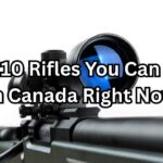 buy rifles online Canada